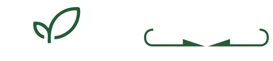 Servicios de Salud